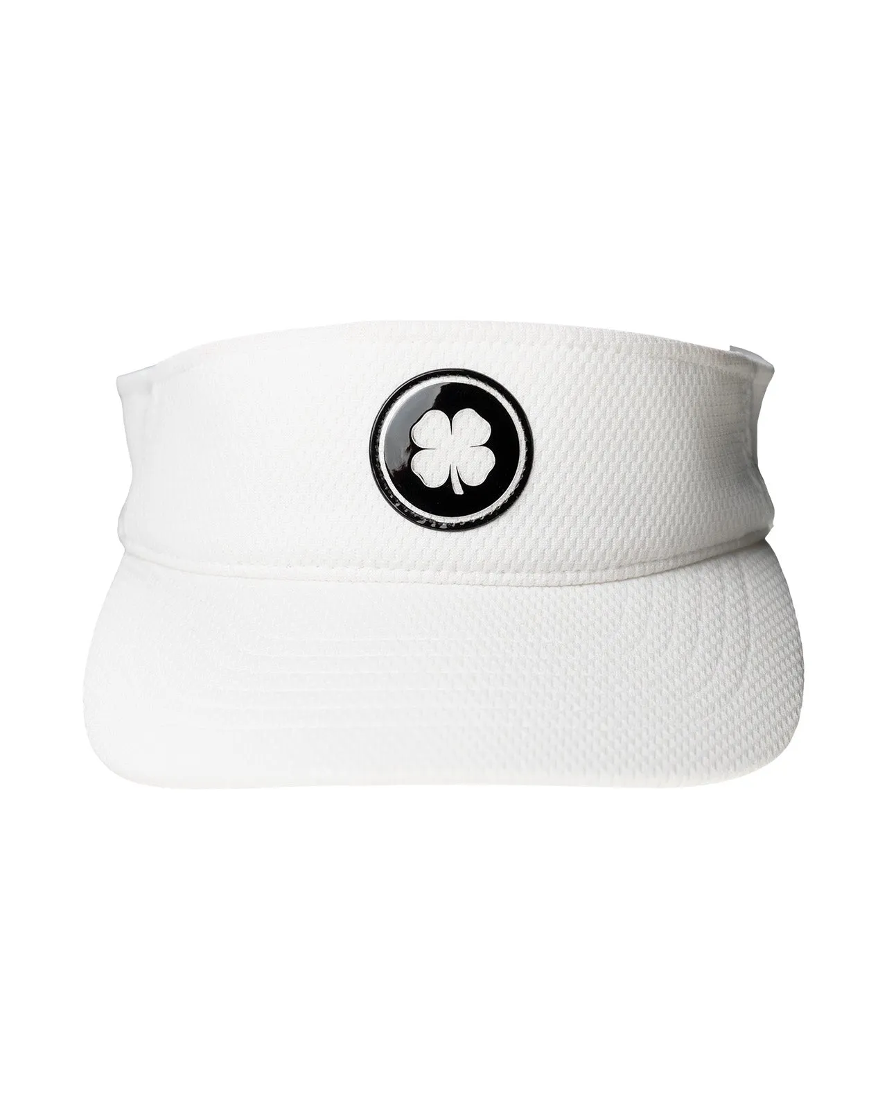 Clear Visor 1