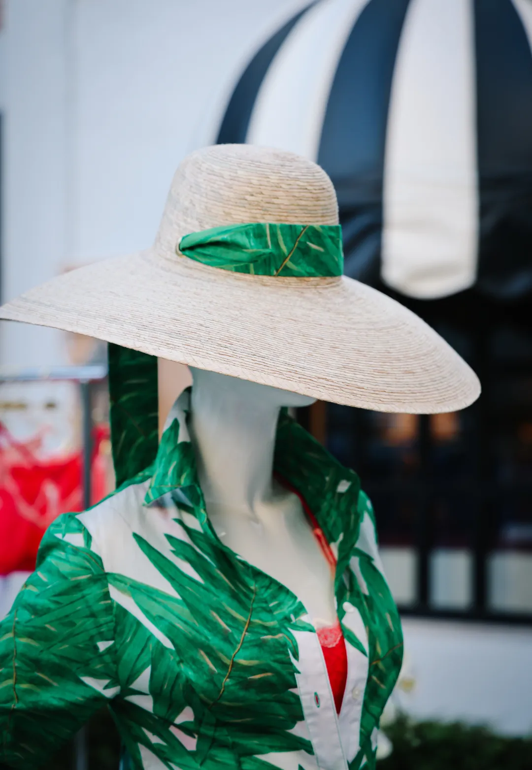 Hat Band 3"x 40" in Queen Palm